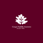 Vadillo asesores